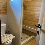 The * Vytina
