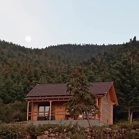 ファームステイ The *