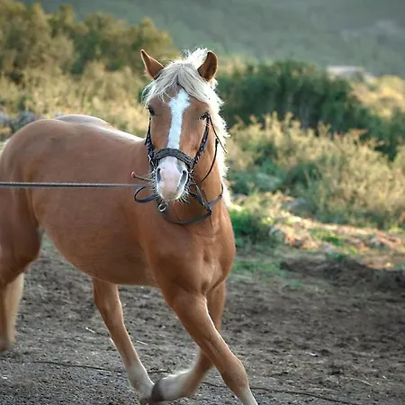 The Bauernhof Vitina