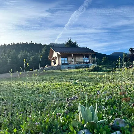 The * Vytina