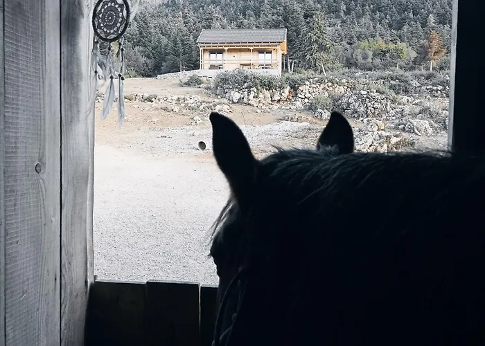 Séjour à la ferme The