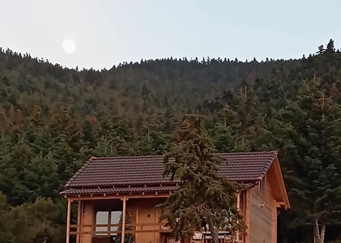 Bauernhof The *