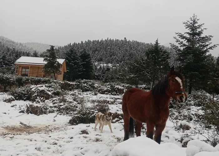 The Séjour à la ferme *