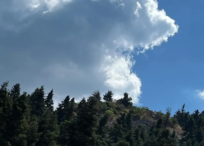 The Lantgård Vytina