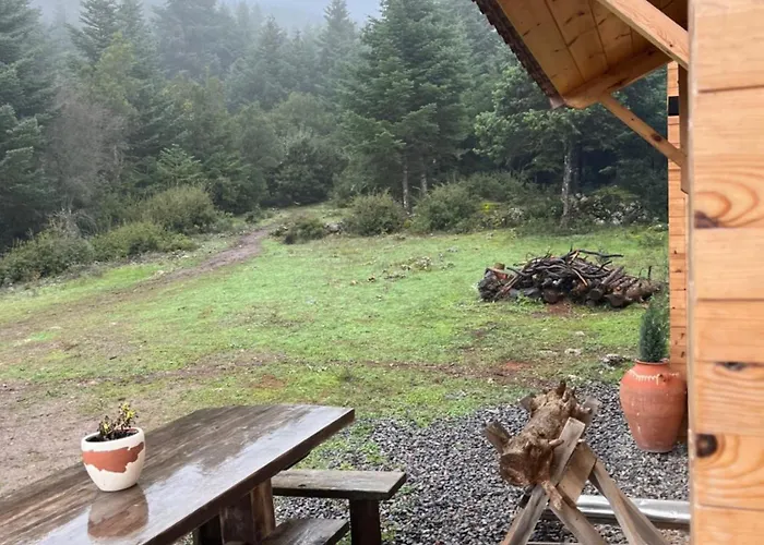 Lantgård The Vytina